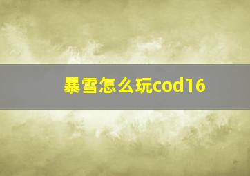 暴雪怎么玩cod16