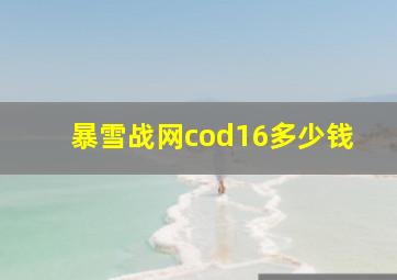 暴雪战网cod16多少钱