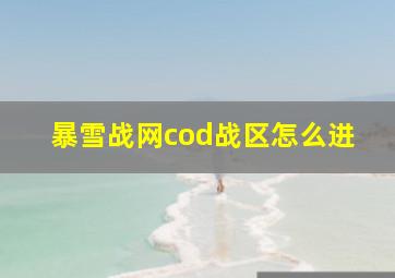 暴雪战网cod战区怎么进