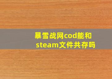 暴雪战网cod能和steam文件共存吗