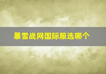 暴雪战网国际服选哪个