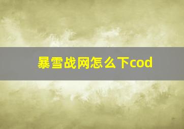 暴雪战网怎么下cod