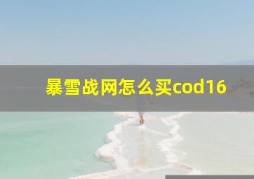 暴雪战网怎么买cod16