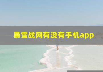 暴雪战网有没有手机app