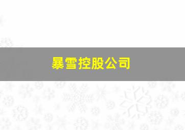 暴雪控股公司