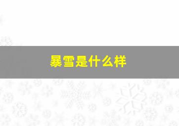 暴雪是什么样