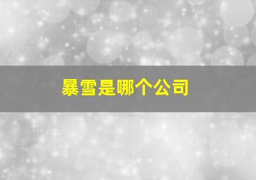 暴雪是哪个公司