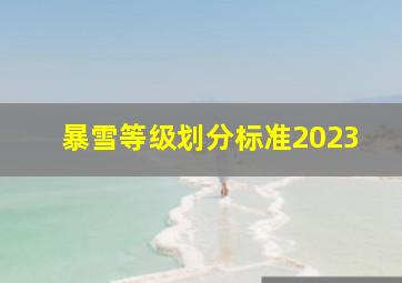 暴雪等级划分标准2023