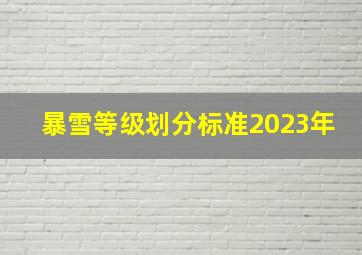 暴雪等级划分标准2023年