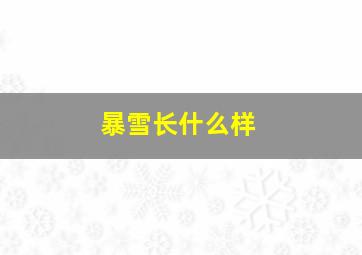 暴雪长什么样