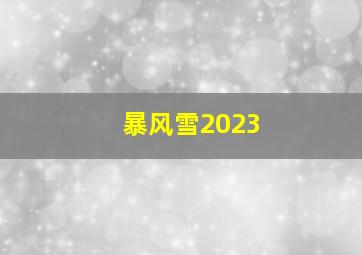 暴风雪2023