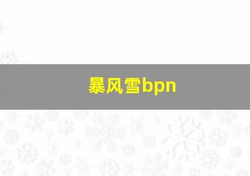 暴风雪bpn