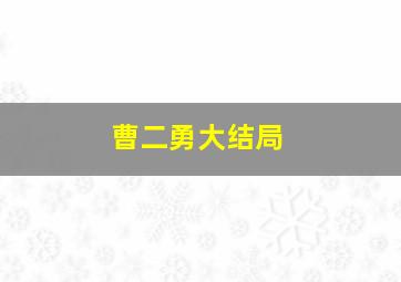 曹二勇大结局