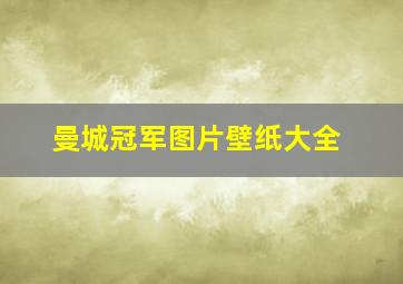 曼城冠军图片壁纸大全