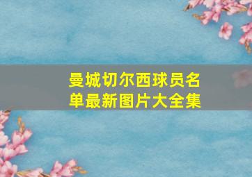 曼城切尔西球员名单最新图片大全集