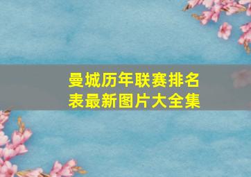 曼城历年联赛排名表最新图片大全集