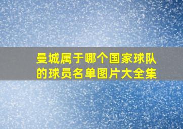 曼城属于哪个国家球队的球员名单图片大全集