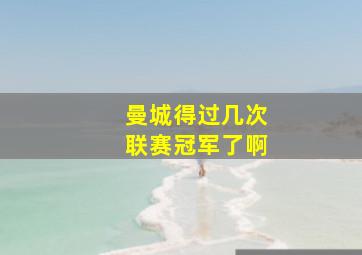 曼城得过几次联赛冠军了啊