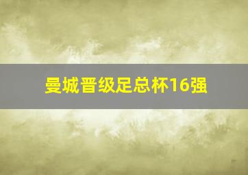 曼城晋级足总杯16强