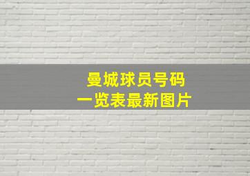 曼城球员号码一览表最新图片