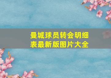 曼城球员转会明细表最新版图片大全