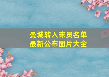 曼城转入球员名单最新公布图片大全