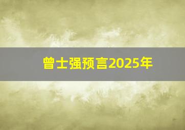 曾士强预言2025年