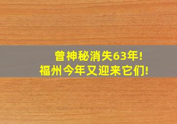 曾神秘消失63年!福州今年又迎来它们!