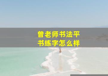 曾老师书法平书练字怎么样