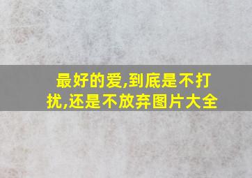 最好的爱,到底是不打扰,还是不放弃图片大全