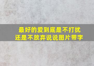 最好的爱到底是不打扰还是不放弃说说图片带字