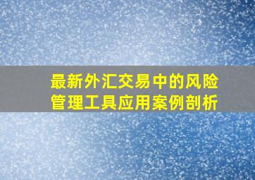 最新外汇交易中的风险管理工具应用案例剖析