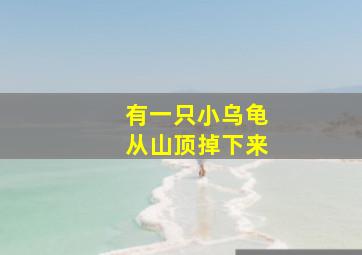 有一只小乌龟从山顶掉下来