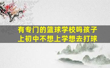 有专门的篮球学校吗孩子上初中不想上学想去打球