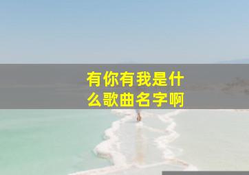 有你有我是什么歌曲名字啊