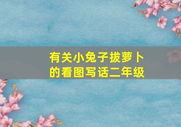 有关小兔子拔萝卜的看图写话二年级