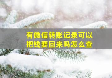 有微信转账记录可以把钱要回来吗怎么查