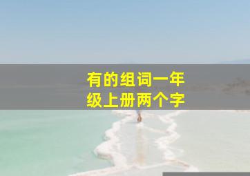 有的组词一年级上册两个字