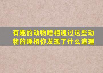 有趣的动物睡相通过这些动物的睡相你发现了什么道理