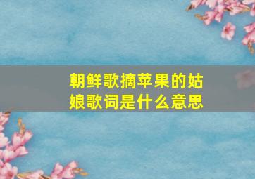 朝鲜歌摘苹果的姑娘歌词是什么意思