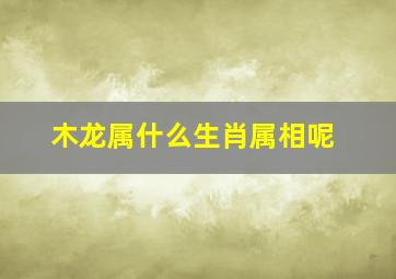 木龙属什么生肖属相呢