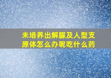 未培养出解脲及人型支原体怎么办呢吃什么药