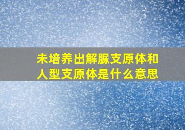 未培养出解脲支原体和人型支原体是什么意思