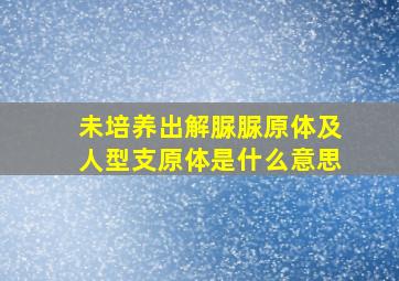 未培养出解脲脲原体及人型支原体是什么意思