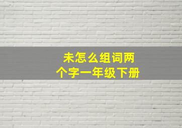 未怎么组词两个字一年级下册