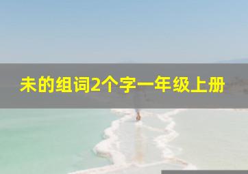 未的组词2个字一年级上册