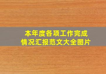 本年度各项工作完成情况汇报范文大全图片