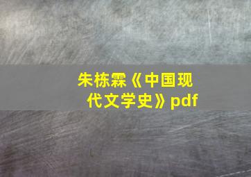 朱栋霖《中国现代文学史》pdf