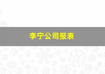 李宁公司报表