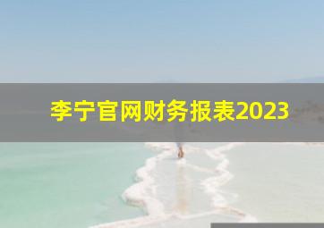 李宁官网财务报表2023